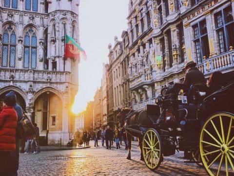 Photo 1550481010 dfad748ad5c8