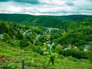 Casper menting 0 P Wx Zsnv Re E unsplash2