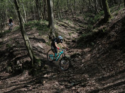 Frans ruiter XZGNG Ldsy6 U unsplash 2