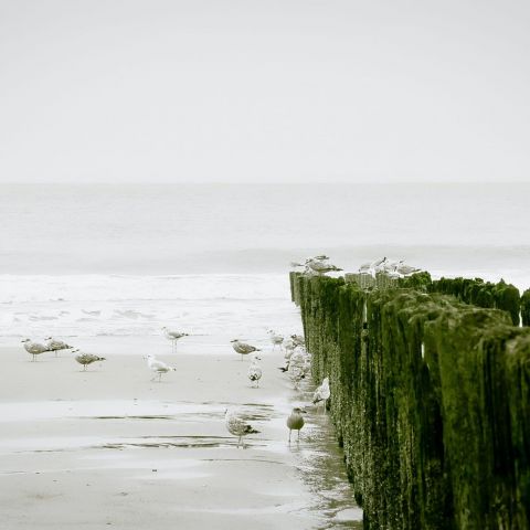 Christophe gesqueire T Iz Tvi7 LCQU unsplash 2