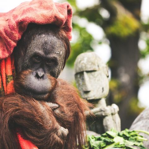 Zeno verschaeve qfmo E3 Bg J 8 unsplash