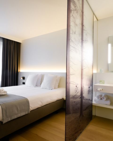 Chambrre confort vitre teintee