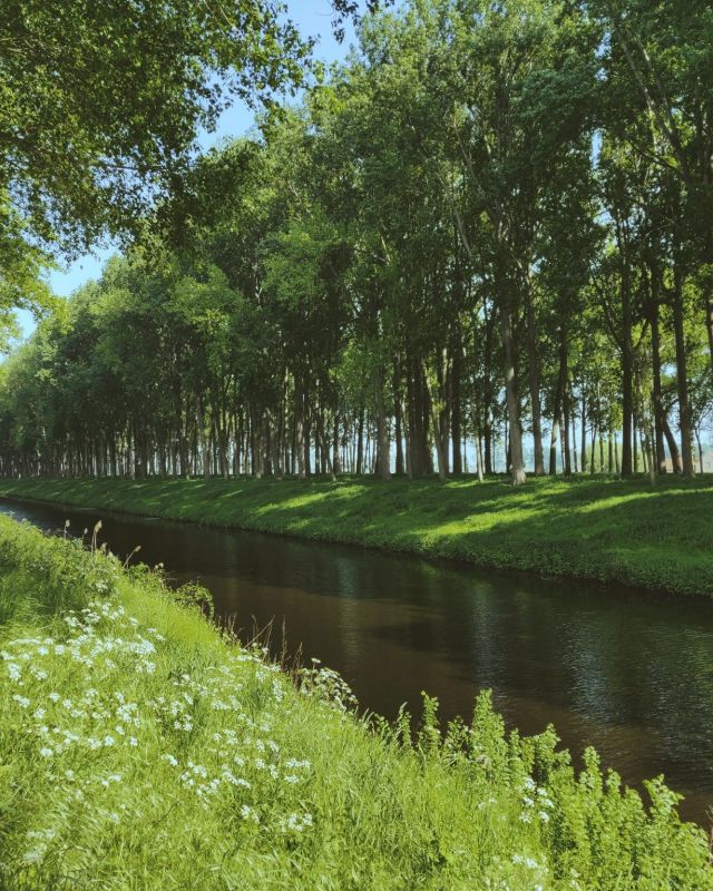 Damme Canal Ytllszi2Jly