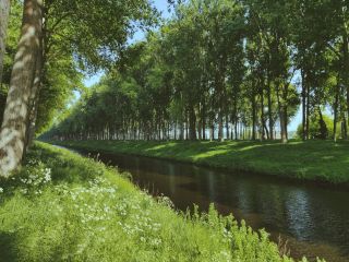 Damme Canal Ytllszi2Jly